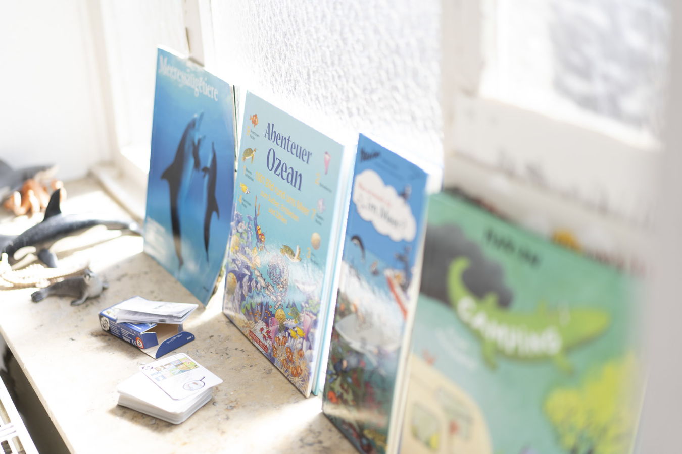 Kinderbücher am Fenster