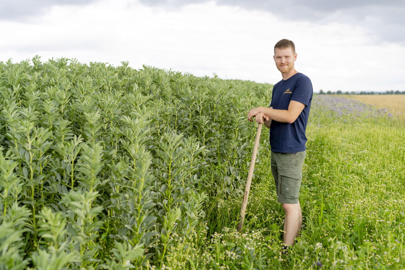 Ein Mann steht mit einer Hacke auf einem Feld zwischen dichtem Grün