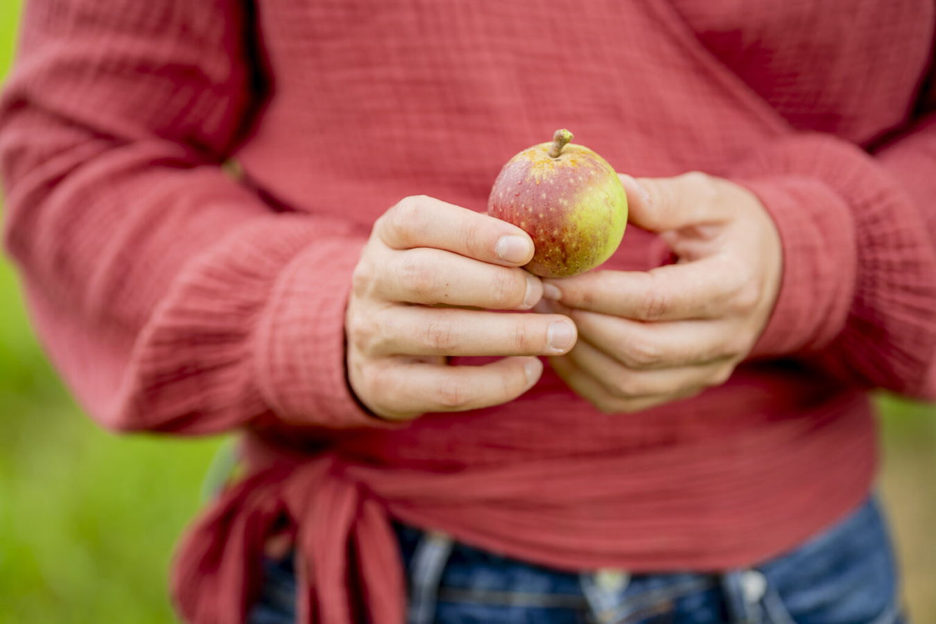 Person hält einen kleinen Apfel in den Händen