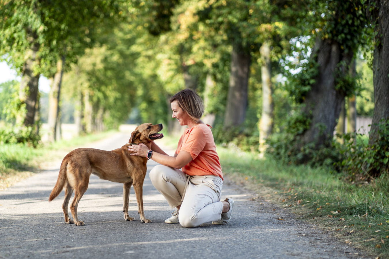 Frau kniet auf einem Waldweg und streichelt einen Hund