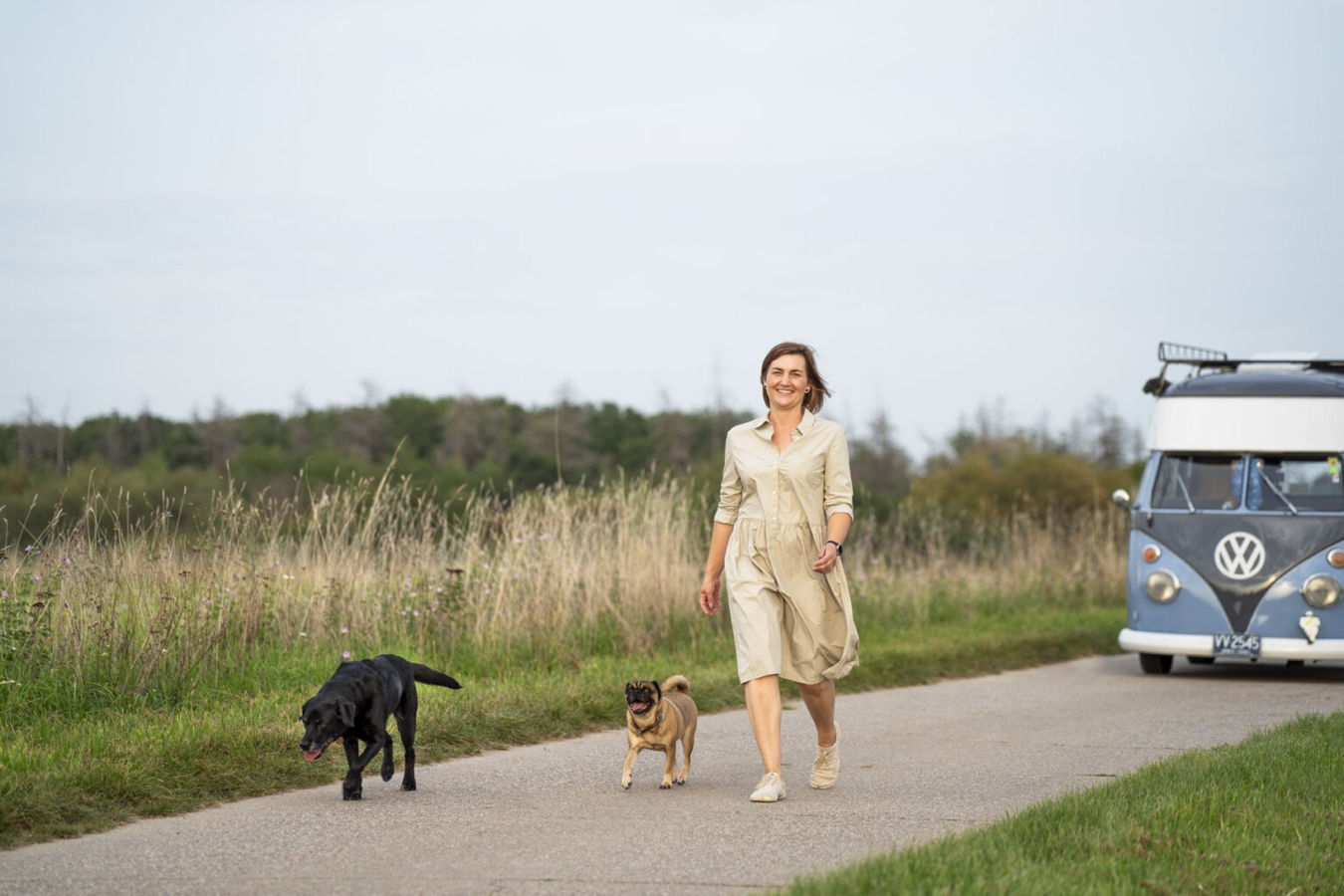 Frau spaziert mit zwei Hunden auf einem Feldweg, daneben ein VW-Bus